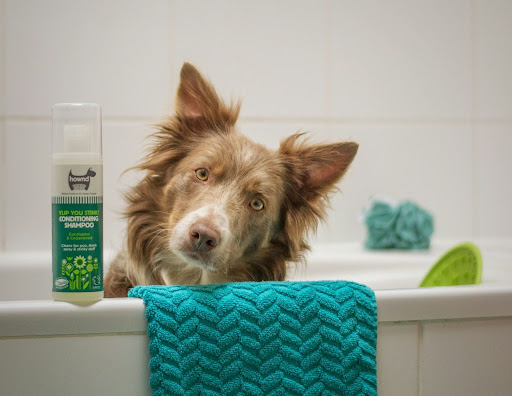 トリマーがおすすめする犬のシャンプーの選び方｜選び方のポイントを解説